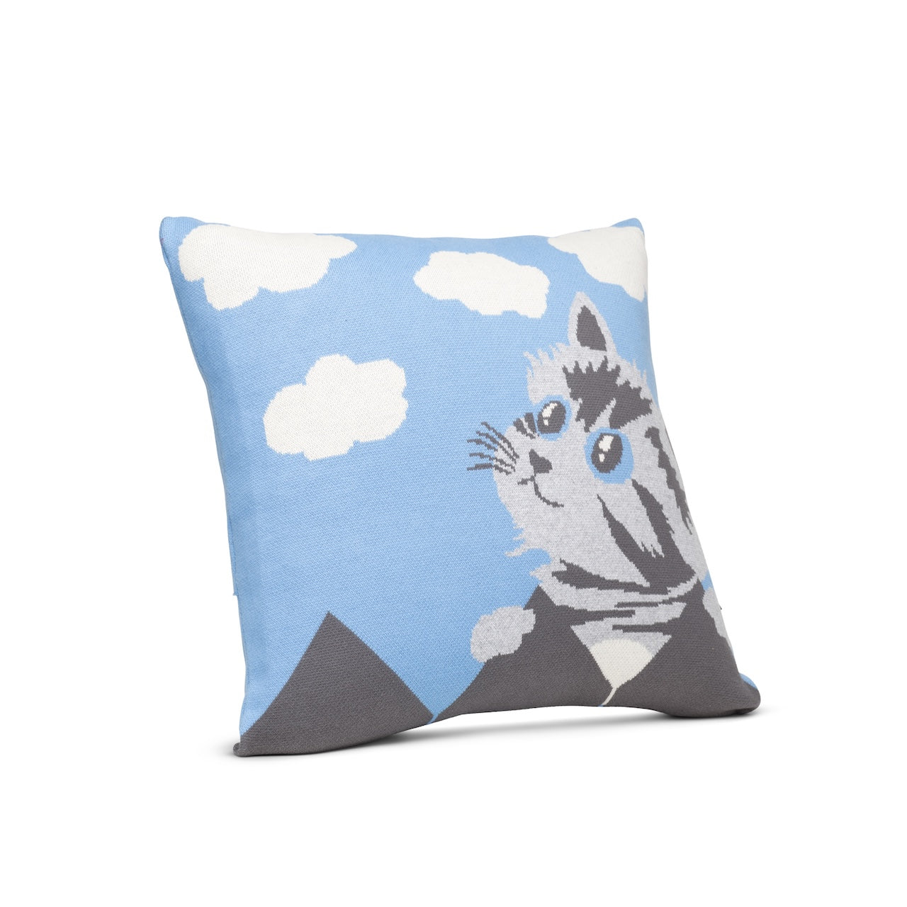 Sky & Fence Knitted Cushion Cover